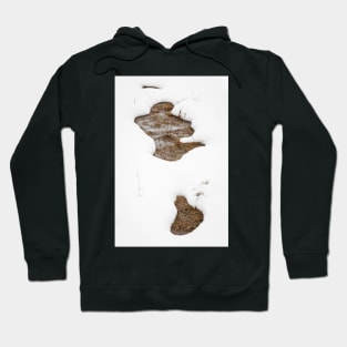 Shapes In Snow Hoodie